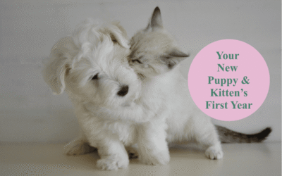 Your Puppy or Kitten’s First Year: A Month-by-Month Guide to Keeping Them Healthy
